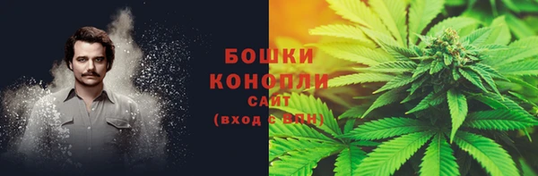 спиды Верея