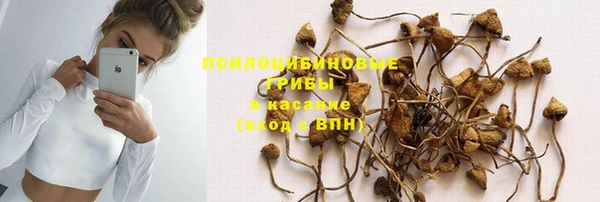 дмт Верхний Тагил