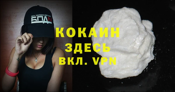 спиды Верея