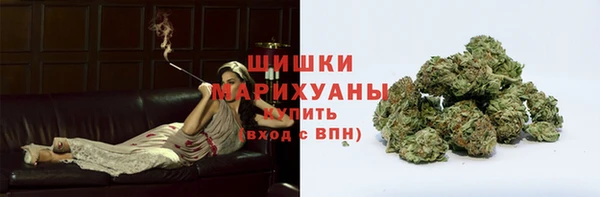 спиды Верея