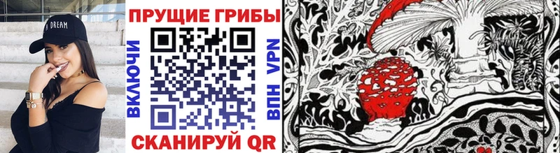 Галлюциногенные грибы Psilocybine cubensis  Купить где  Мончегорск 